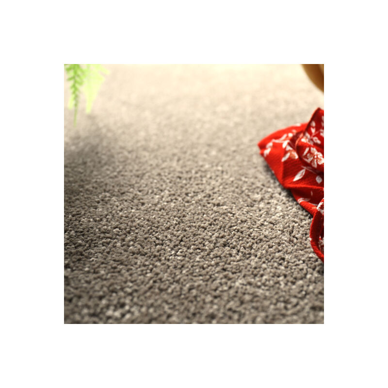 Décoweb - Moquette - Manège - Marron - Rouleau de 4m x 4m