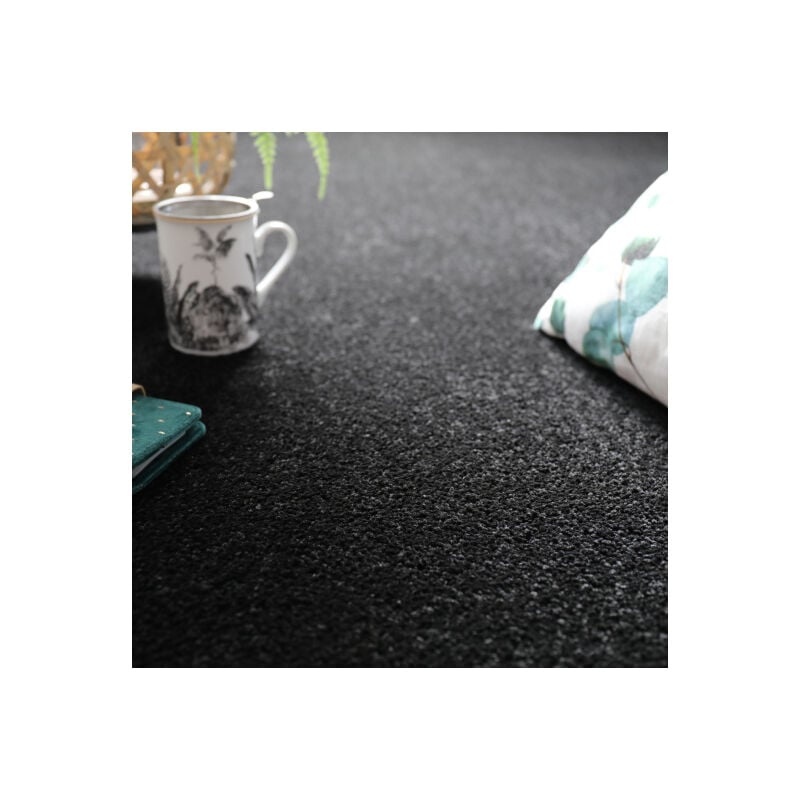 Décoweb - Moquette - Manège - Noir - Rouleau de 4m x 1m
