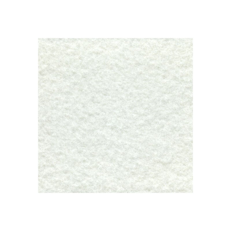 Décoweb - Moquette Stand Expo - Blanc - 2m x 10m