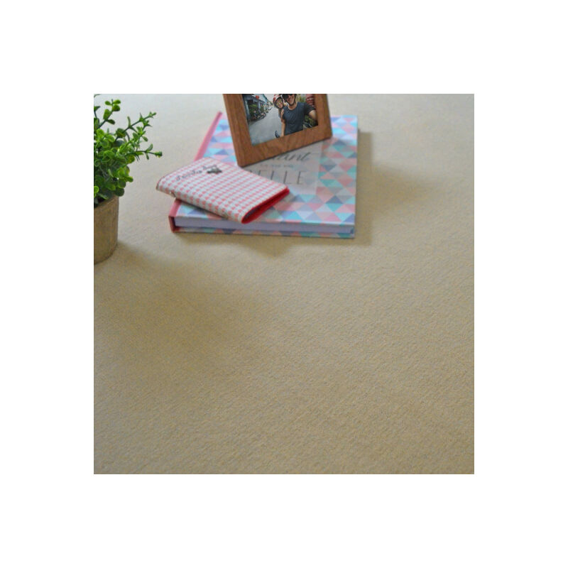 Décoweb - Moquette velours - Loft - Beige - Rouleau de 4m x 3m