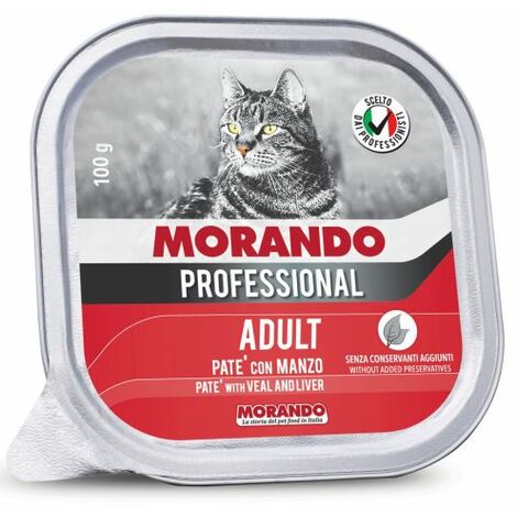 Protezione antifuga in plexiglass  Piccola veranda, Recinto gatto  all'aperto, Gatto fai da te