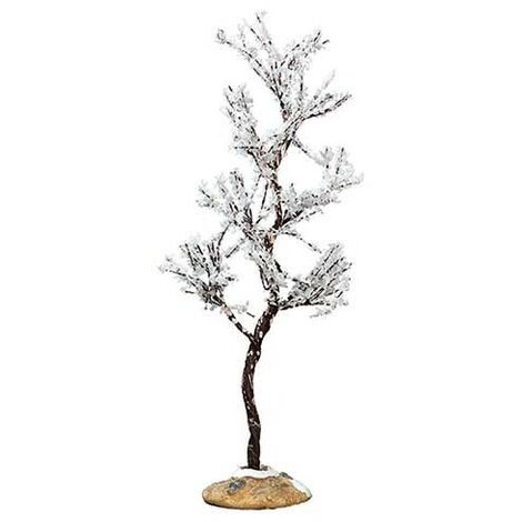Morning Dew Tree, Small Cod. 74251