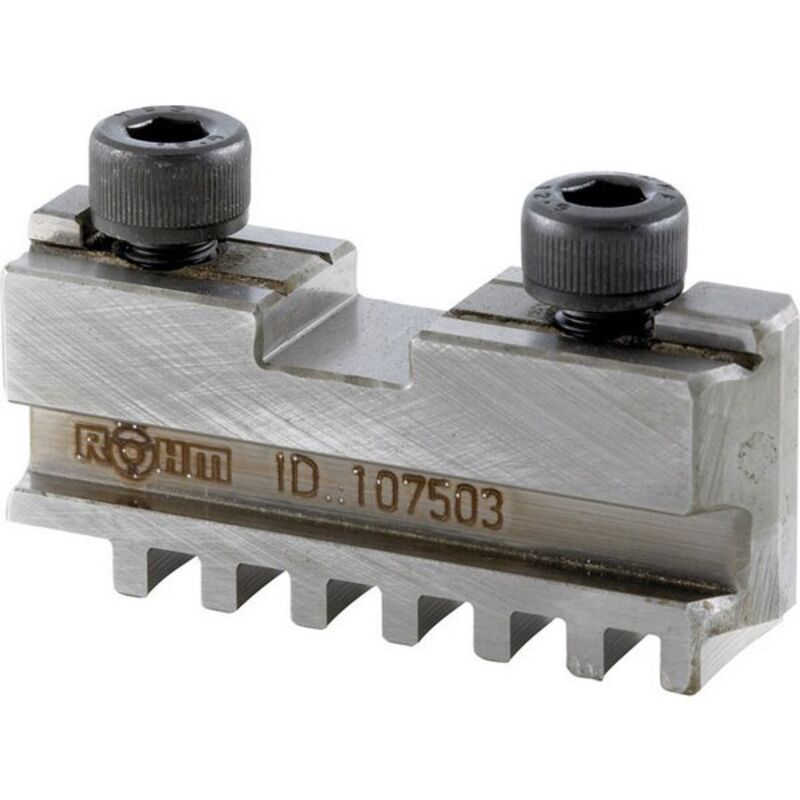 Röhm Gmbh - Mors de mandrin de tours, 4 mors, 4 mors, mors de base avec vis de fixation, Taille : 125 mm, Long. a 55 mm, Larg. : du tenon b -0,05