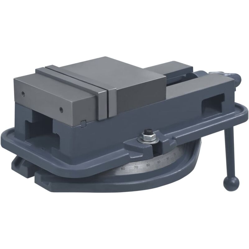 vidaXL Morsa con Piattaforma Girevole in Ghisa 160 mm