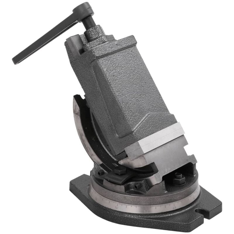 Vidaxl - Morsa Inclinabile a 2 Assi 100 mm