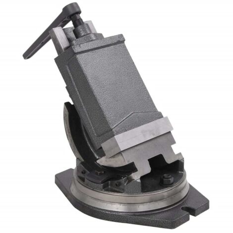 Morsa Inclinabile a 2 Assi 160 mm vidaXL