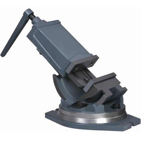 Morsa Inclinabile a 2 Assi in Ghisa 0 - 90 gradi Grigia varie dimensioni dimensioni : 160 mm