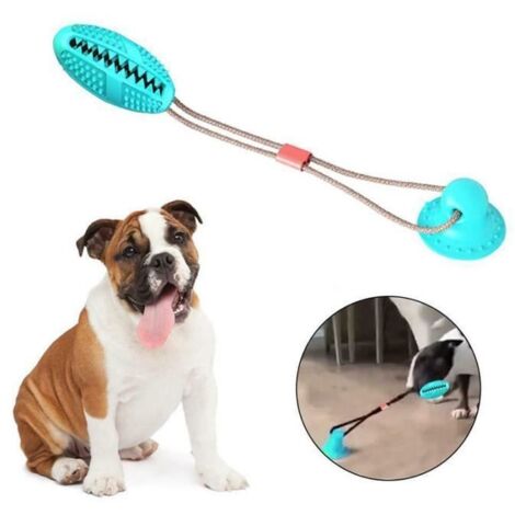 Morsure molaire multifonctionnelle pour animaux de compagnie ventouse style chien balle jouet à mâcher résistant à la nourriture