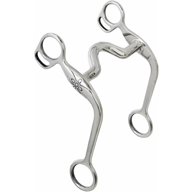 Morsure occidentale en acier inoxydable avec bouche de pont et appels gravés