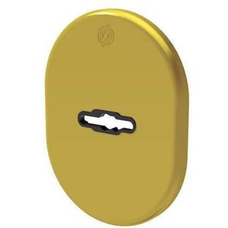 MOSTRINA PORTA BLINDATA 4301 SECUREMME