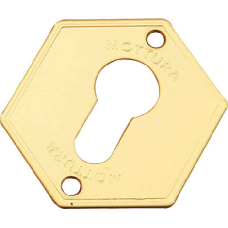 MOSTRINA PORTA BLINDATA 95297 MOTTURA • F.SAGOM OTTONE MM 52X64