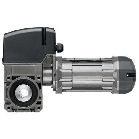 Moteur 230vStaiw Mono Avec Rail Porte 3500 Fdc Meca Sans Commande Marantec Mfz Ovitor