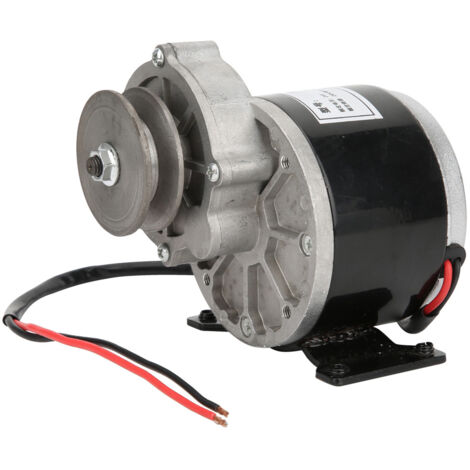 Moteur à Engrenage 24V 250W avec Poulie en Cuivre Pur - Accessoire Haute Performance et Durable