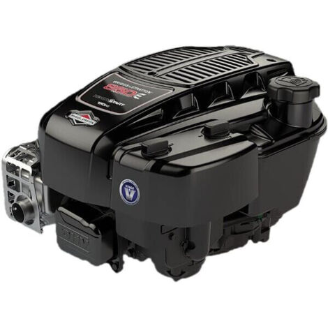 Jeu de segments Briggs & Stratton 797011