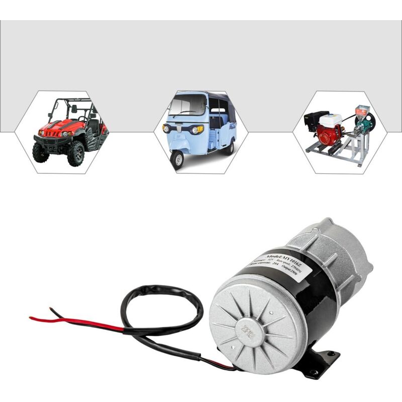 Moteur brossé Moteur à courant continu Moteur électrique 12V dc 250W Go-Kart E-Bikemotor