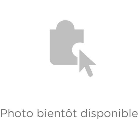 Moteur complet pour aspirateur Hoover 48018715