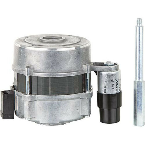moteur de brûleur ECK02/H-2P Weishaupt 240 050 0804/2