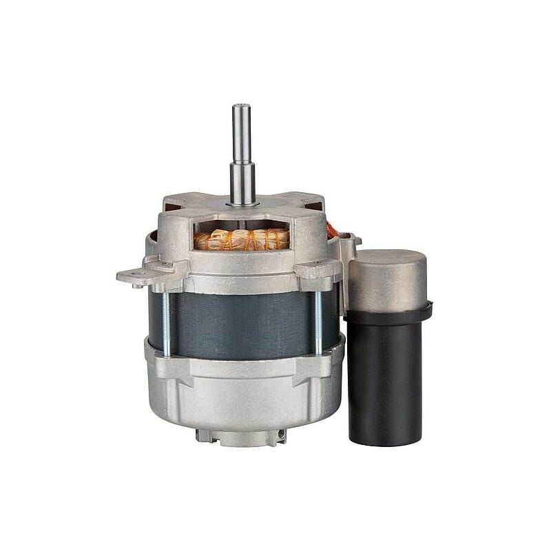 Moteur de bruleur pour Buderus BRE1/BDE1, man re 1/DE1/DW 2, Thyssen TR1 - 110 Watts bg