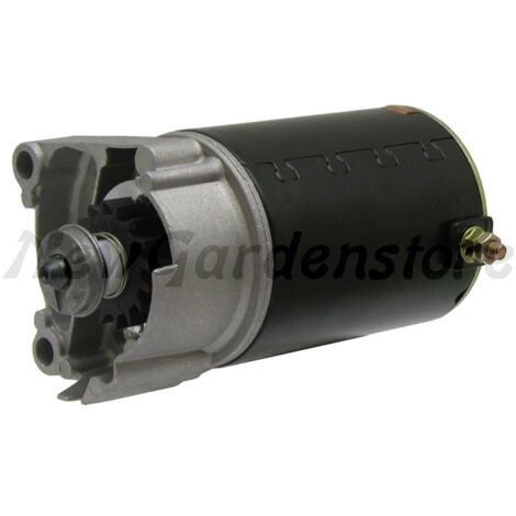 Moteur de démarrage compatible BRIGGS & STRATTON 18270002 497596 394808