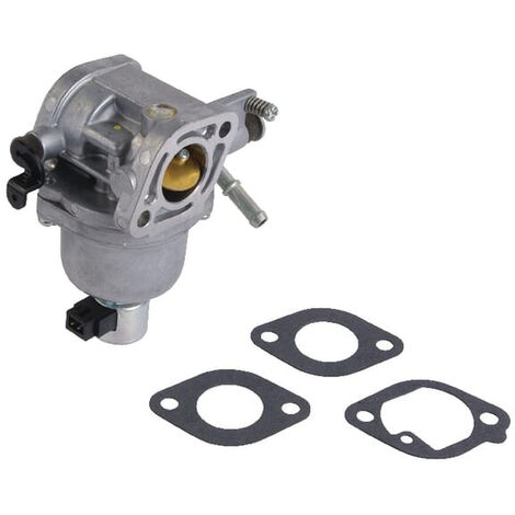 Moteur de tondeuse à gazon à carburateur BRIGGS Intek AVS-OHV bicylindre 22-24 HP