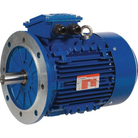 Moteur électrique 1,5 kW UNIVERSEL EM100L6B5300IE3AKR