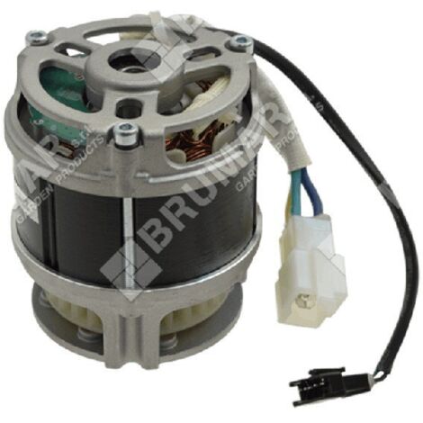Moteur électrique PROGREEN - 048708
