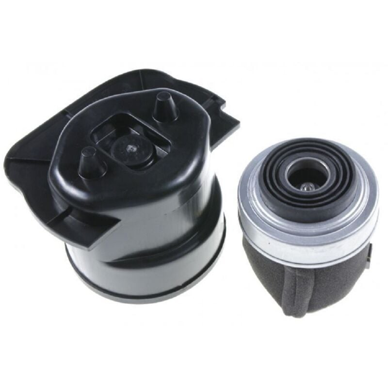 Moteur 230v 50-60hz pour Aspirateur Philips 432200699751