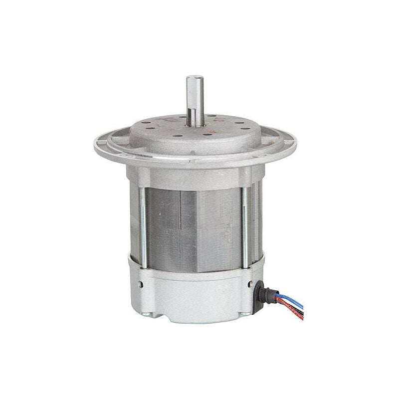 Moteur Riello 3005286 bg