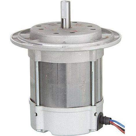 Moteur Riello 3005286 BG