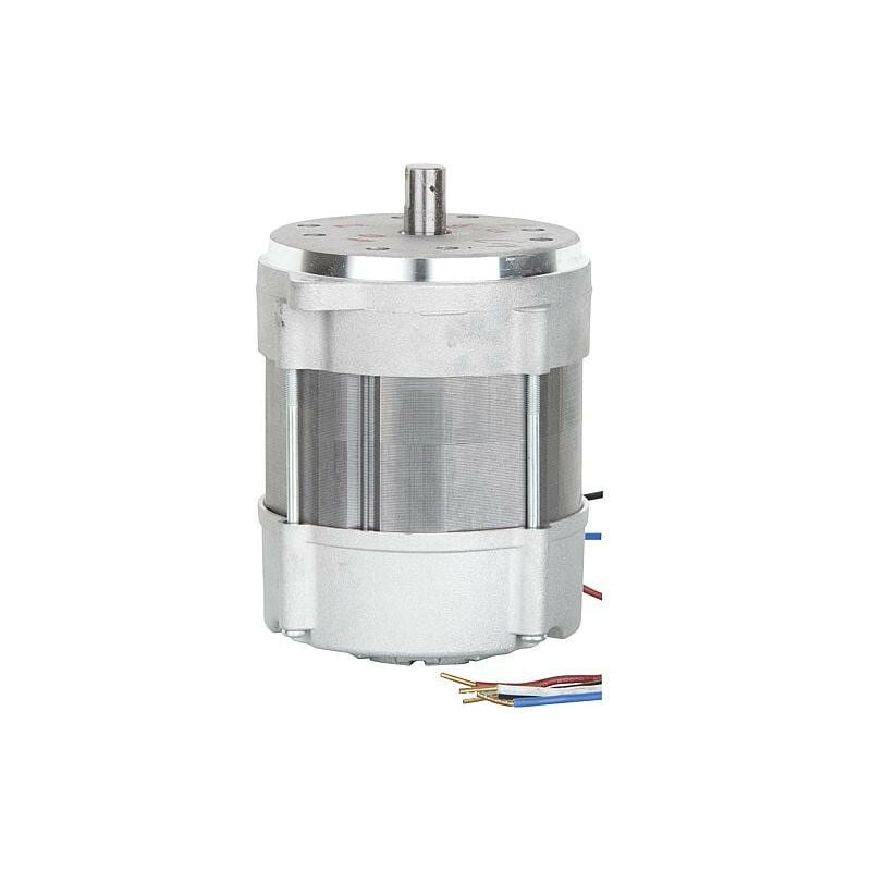 Moteur Riello 3005820