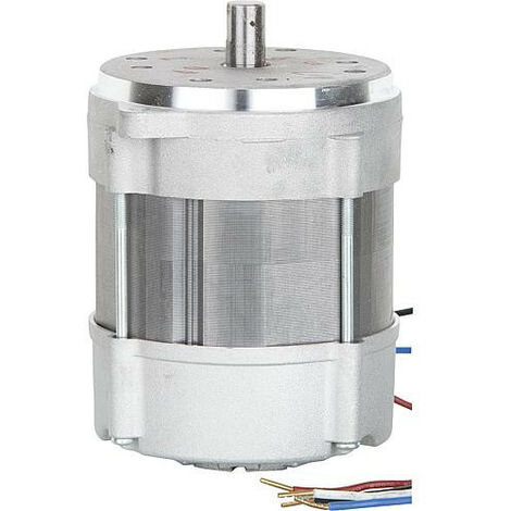 Moteur Riello 3005820