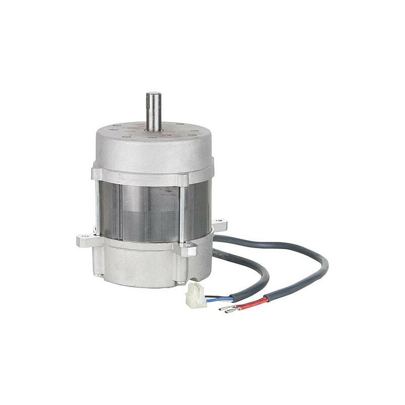 Moteur Riello 3008492