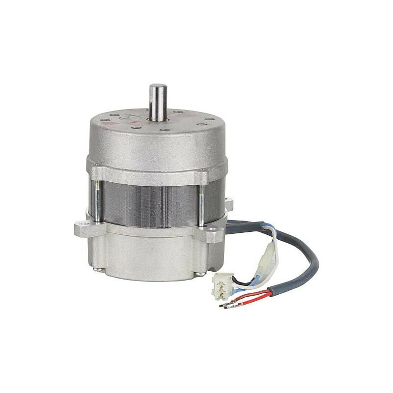 Moteur Riello 3008938