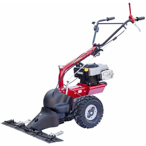 Motoculteur Eurosystems B & S P70 avec barre de coupe de 102 cm