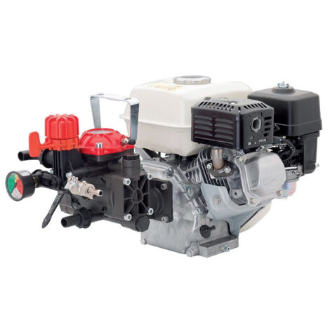 Motopompa Irrorazione 4T Motore Honda Gp-160 IR25HP1