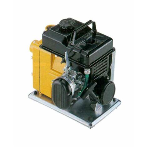 Motopompe auto-amorçante Aut250/N Plus Cm