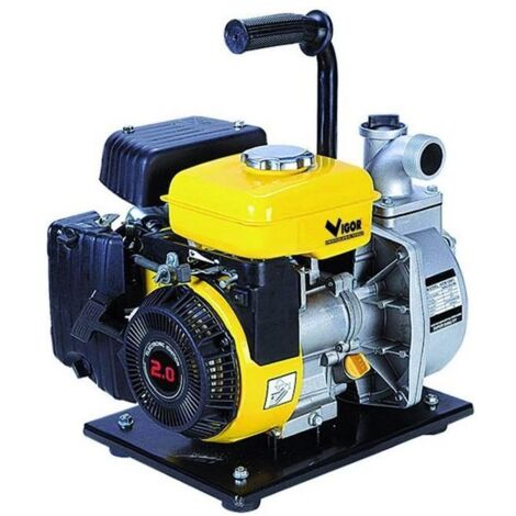 Motopompe Vigor V-Mp20 Autoadescante Hp. 2