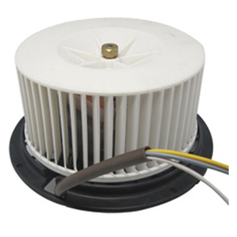 

Reporshop - Motor Campana Standard 3 velocidades 135w 220v Giro Horario