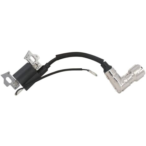 Motor mit elektronischer Spule 1P70F LONCIN 270920286-0001