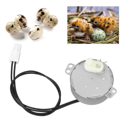 Motor para rotación de huevos – Motor de tambor giratorio de aluminio de 4 W – Eléctrico síncrono para gallinas, patos y otras aves (220–240 V)