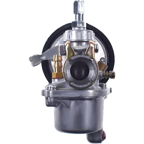 TIGREZY Motorcycle Carburetor 49cc 60cc 66cc 80cc 2 Stroke Engine Bike Carb Bike Motorbike