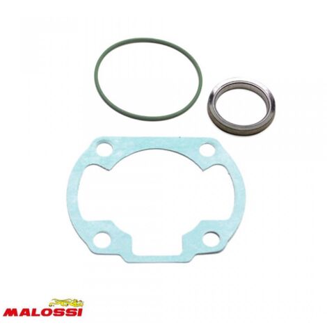 Motordichtung Malossi für Roller Aprilia 50 SR 11 7569 /