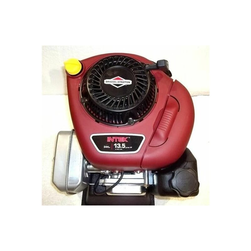 Motore Briggs & Stratton Intek 13, 5 Hp | IMBRIANO | US