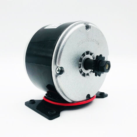 Motore elettrico 24V 250W Generatore motore elettrico a magnete permanente Scooter per PMA