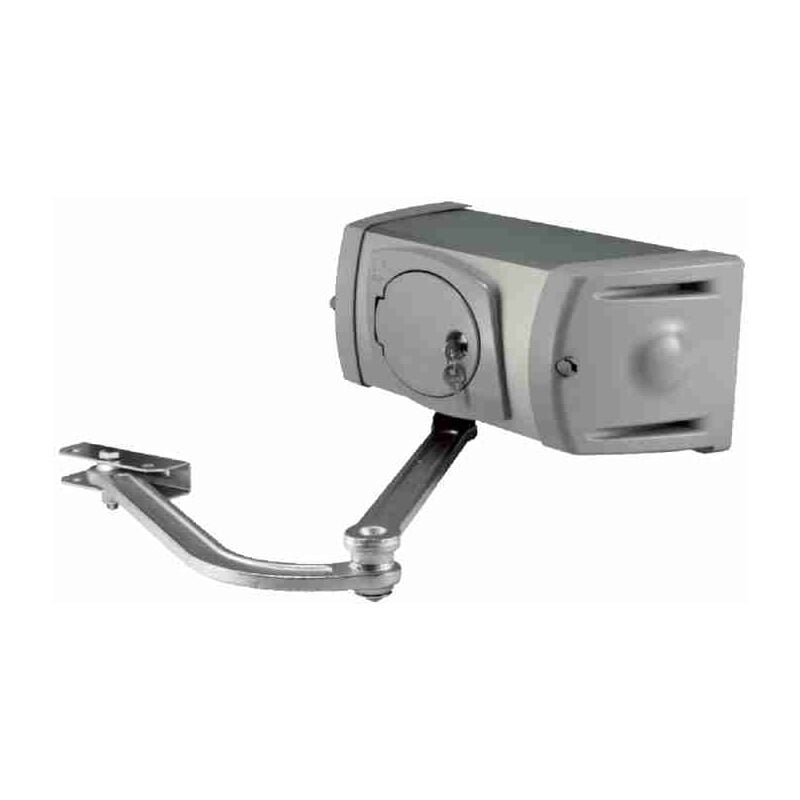 Motoréducteur 230v Moteur Pour Portails Battants Came ferni 001FE40230 FE40230