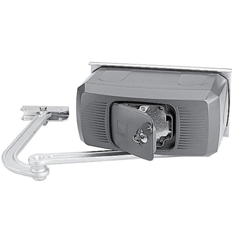 Motoréducteur irréversible Came ferni (001F1000) en 230 v pour portails battants