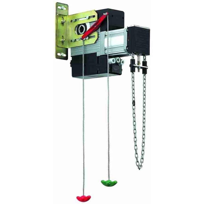 Motoréducteur Moteur Latéral 230v Pour Portes Sectionnelles Faac 541 v 9542