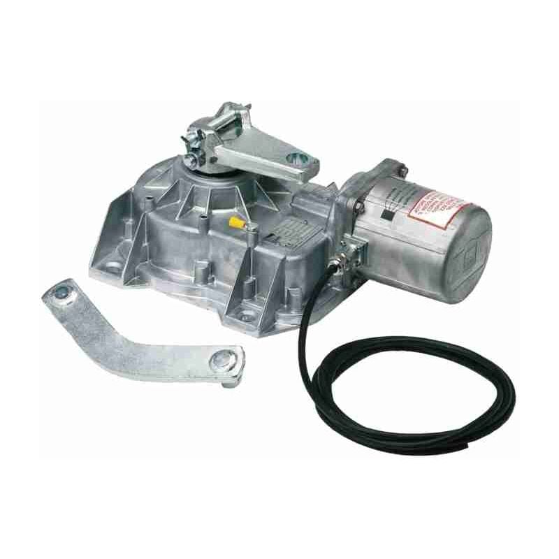 Motoréducteur portail battant 230v Came frog 001FROG-A frog-a Souterrain