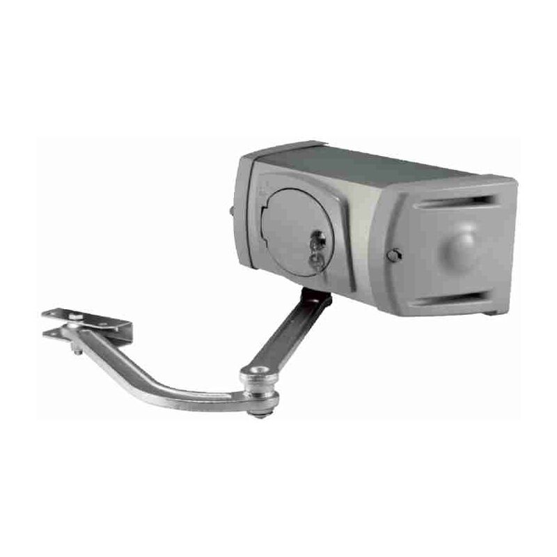 Motoréducteur pour portail battant articulé Came ferni 001FE4024 FE4024 24v