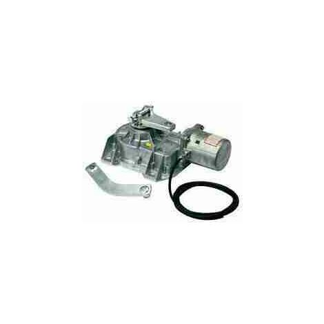 Motoriduttore Per Cancelli Battente Interrato CAME FROG 001FROG-A24E FROG-A24E 24v Interrato Encoder